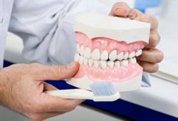 dentista occlusale